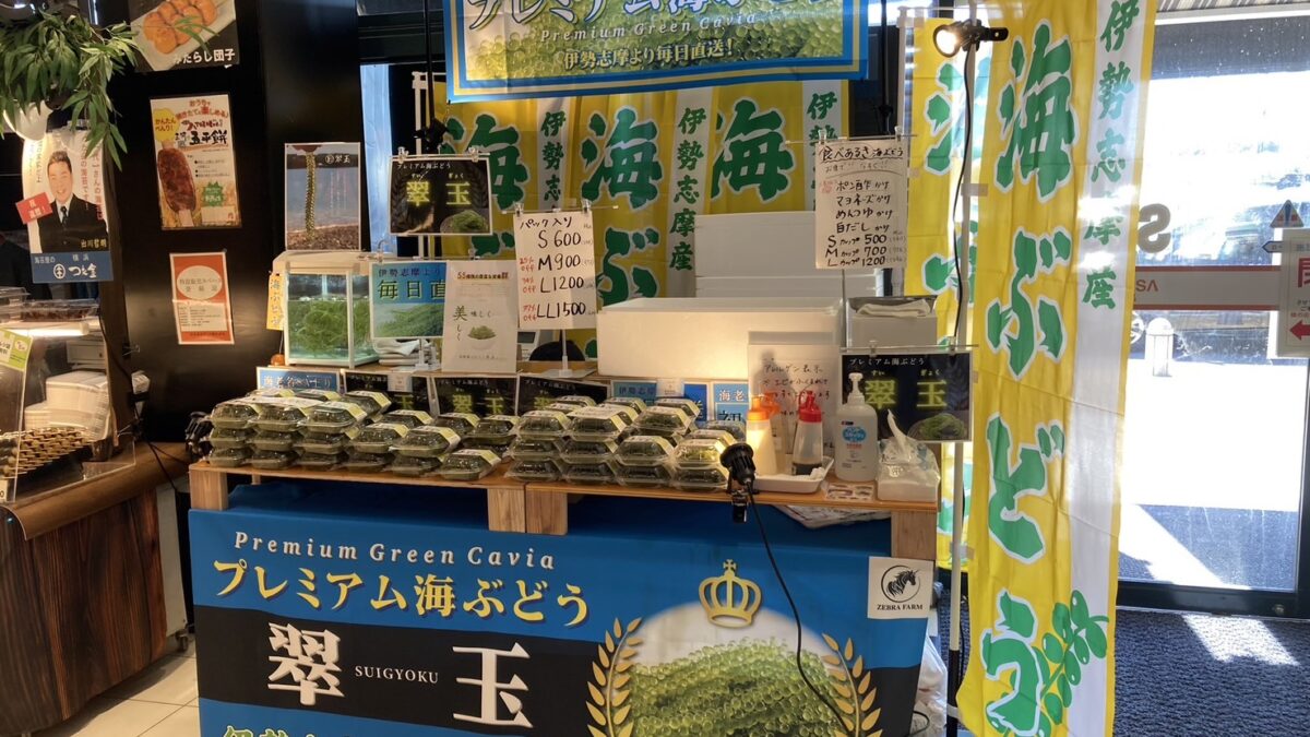 【期間限定販売】EXPASA海老名で海ぶどう「翠玉」（7/19〜8/31）